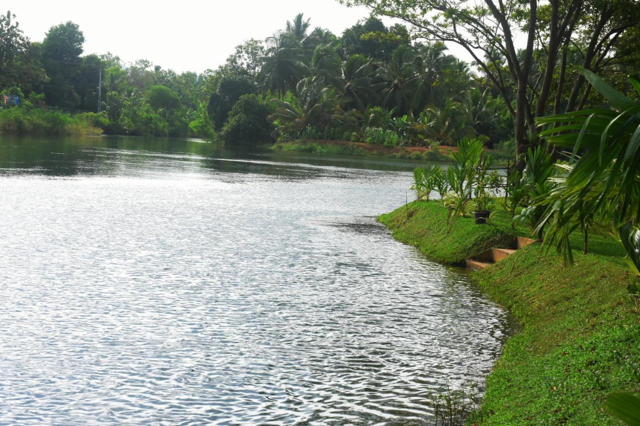 Canal Side Safari Resort اوداوالاوي المظهر الخارجي الصورة