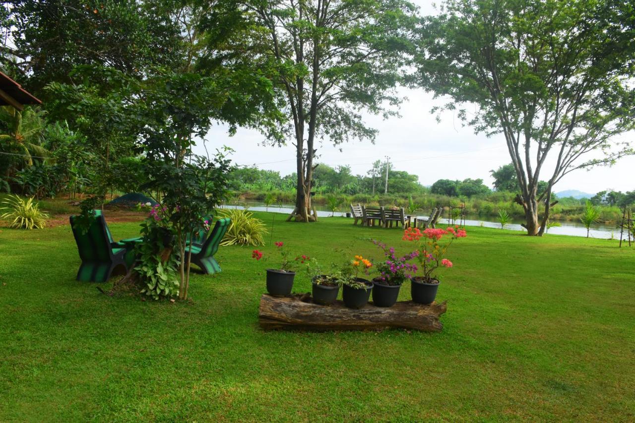 Canal Side Safari Resort اوداوالاوي المظهر الخارجي الصورة