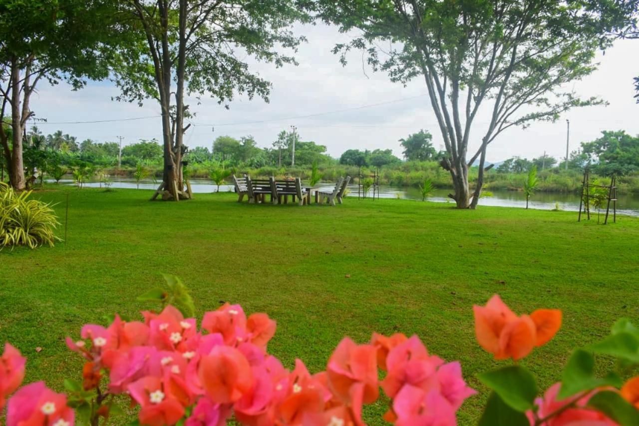 Canal Side Safari Resort اوداوالاوي المظهر الخارجي الصورة