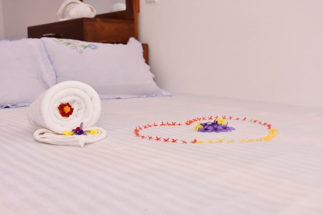 Canal Side Safari Resort اوداوالاوي المظهر الخارجي الصورة